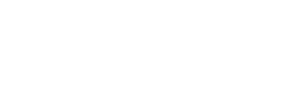 INNOVASUR